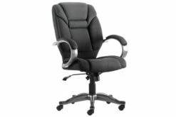 Fiji Fabric Executive Chair (Black)