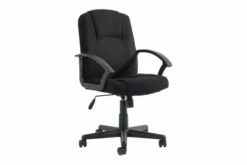 Dream Medium Back Fabric Executive Chair (Black)