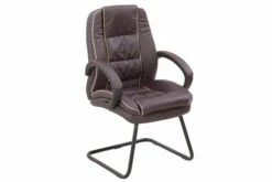 Ranna Leather Faced Cantilever Chair (Burgundy)