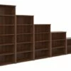 All Walnut Bookcase