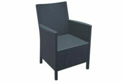 Calimpa Arm Chair