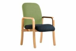 Everglade 2 Tone Fabric Armchair