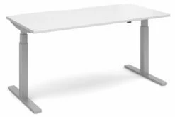 Ascend Deluxe Sit & Stand Single Desk