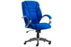 Fiji Fabric Executive Chair (Blue)