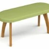 Aral Upholstered Low Bench