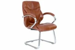 Kintyre Tan Leather Faced Cantilever Chair