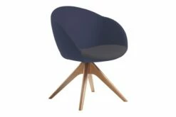 Astbury Lounge Chair With Pyramid Oak Legs