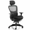 Shadow Ergonomic Mesh Back Posture Chair With Black Airmesh Seat And Headrest