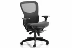Shadow Ergonomic Mesh Back Posture Chair With Black Mesh Seat