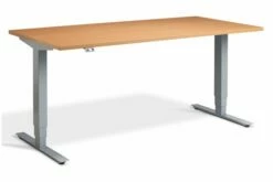 Bailey Dual Motor Height Adjustable Desks