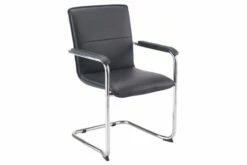 Jensen Faux Leather Faced Cantilever Chair